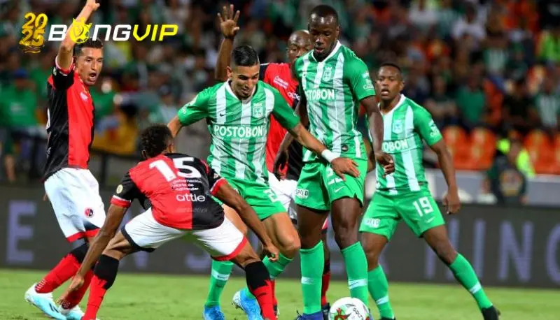 Nhận định kèo chuẩn xác tại soi kèo Atletico Nacional vs Cucuta