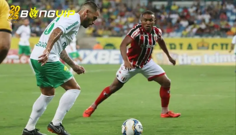 Dự đoán tỷ số & nhận định cuối cùng của Cuiaba vs Botafogo SP