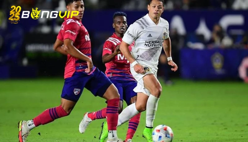soi kèo Los Angeles FC vs Sporting Kansas City Soi kèo Los Angeles FC vs Sporting Kansas City: Tỷ lệ kèo và dự đoán