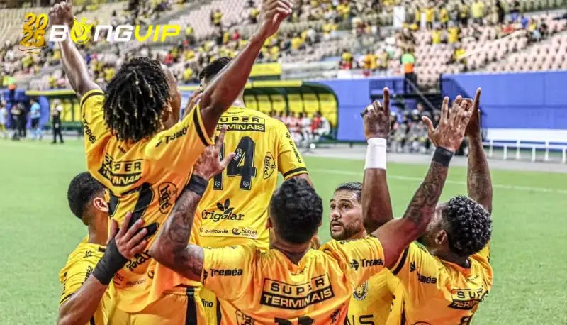 Phong độ của Novorizontino tại soi kèo Novorizontino vs Amazonas FC